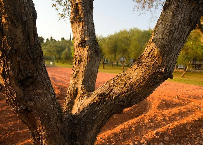 Terra Rossa Landsted
