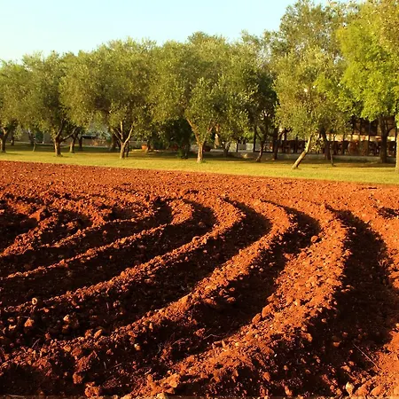 Country house Terra Rossa Otranto