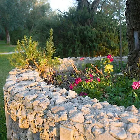Country house Terra Rossa *