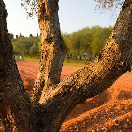 Terra Rossa Country house