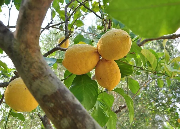 Terra Rossa Εξοχικό σπίτι Οτράντο